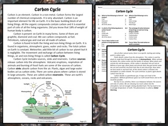 Carbon Cycle Reading Comprehension Passage and Questions - PDF