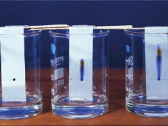 Chromatography PPT
