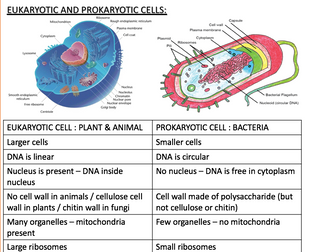 EDEXCEL AS/A-Level Biology UK - Topic 3 The Voice of the Genome