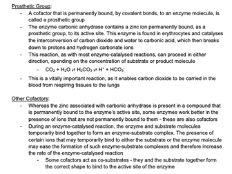 A* A-level OCR Bio Enzyme Notes