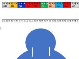 PROTEIN SYNTHESIS - TRANSLATION ACTIVITY