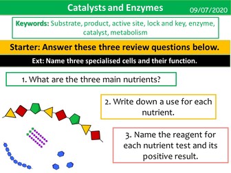 Catalysts and Enzymes