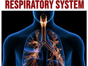 Unit 4 Anatomy & Physiology: LO2 Respiratory System Student Workbook