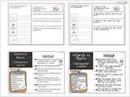 Starch in Plants Practical and Worksheet