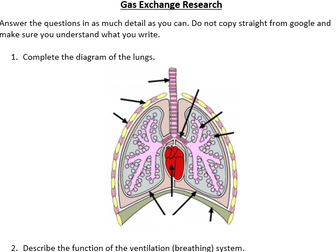 Gas Exchange in Humans Research Task