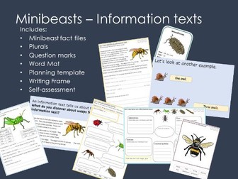 Minibeasts - Information writing