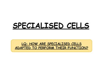 **iGCSE Biology Edexcel - SPECIALISED CELLS**