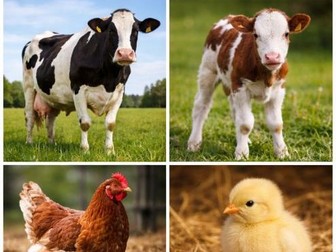 Animals and their young (farm)