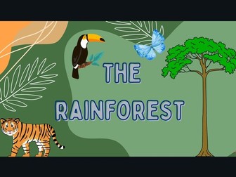 Introduction to the layers of the rainforest KS1