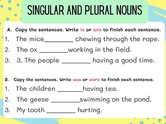 Singular and Plural Nouns Grammar Lesson