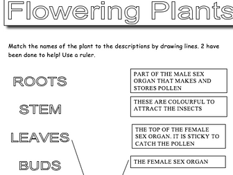 Flowering Plants - Key Words