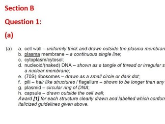 IB Biology Unit 1 Review Test Answer Key