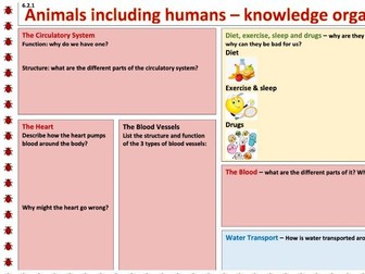 Yr6 Science: Animals Including Humans