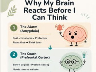 Teaching young People about their Brain