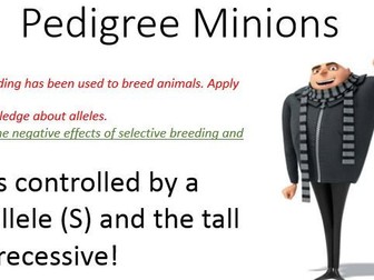 Inheritanceof alleles activity- Pedigree Minions