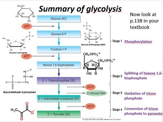 New Biology A Level OCR 5.7.2 Glycolysis