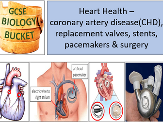 AQA GCSE Biology: Heart Health: treatment of CHD, valve defects, pacemakers & transplants