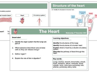 AQA GCSE Biology / Combined Science - The Heart