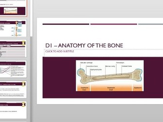 Structure of long bone