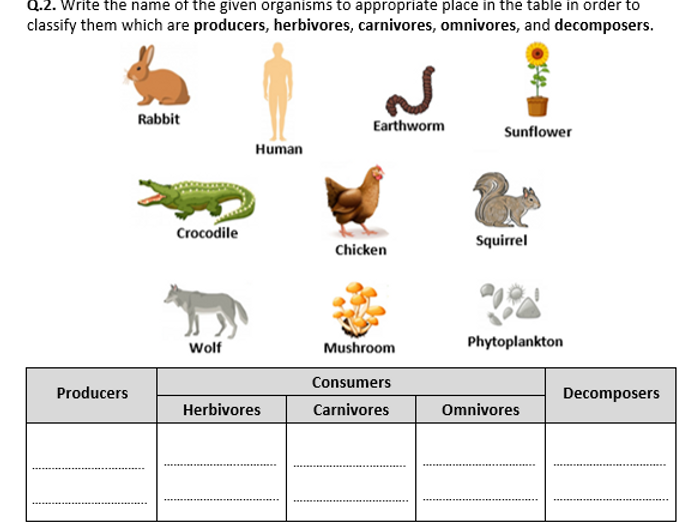 Producers Consumers And Decomposers Worksheets