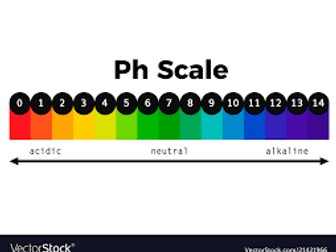Reactions with Acids and Alkalis
