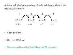 Binary Fission Slides and Worksheet (GCSE Biology AQA) | Teaching Resources