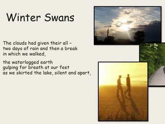 Lesson on Winter Swans: AQA GCSE English