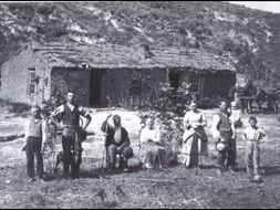 How did the Homesteaders overcome the problems they faced on the Great Plains?