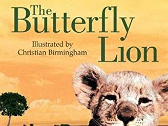 The Butterfly Lion by Michael Morpurgo - Unit of Work