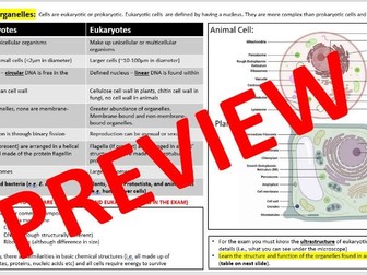 Cell Structure (2.1.1) | A* OCR A-Level Biology Notes | Specification-Specific