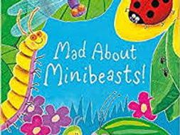 Mad about Minibeasts planning and resources KS1 | Teaching Resources