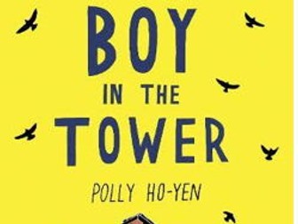 Guided Reading lessons - The Boy In The Tower
