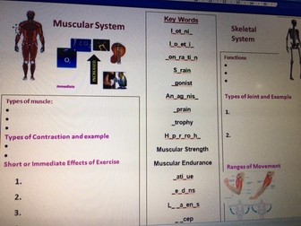 Skeletal and Muscular system revision sheet