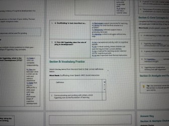 Childhood Theorists: Vygotsky - ZPD and MKO
