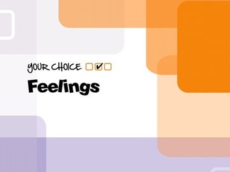 Feelings Programme