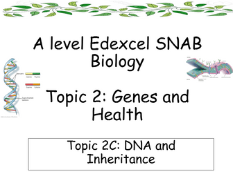 Edexcel SNAB Biology - Topic 2: Genes and Health - Topic 2C: DNA and Inheritance
