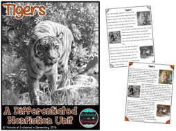 Differentiated Nonfiction Unit: Tigers