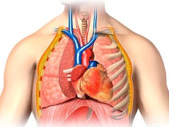 BTEC Sport Anatomy & Physiology