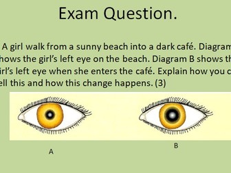 GCSE AQA Science B10 The nervous system Combined and triple powerpoints, exam questions and activity