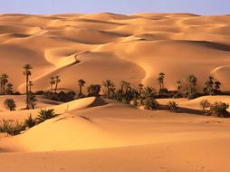 All Lessons – Hot Deserts - AQA A-Level (2017 exams)