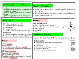 KS3 Animal Cells Complete Lesson and Worksheet