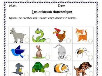 Les Animaux ( French Animals) Distance Learning Worksheets