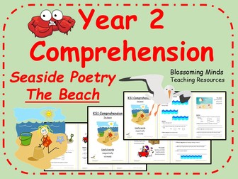 Year 2 Seaside Poetry Comprehension Booklet - The Beach