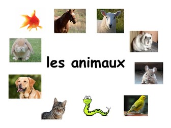 UPDATED OCTOBER 2017 - Les animaux -  A French Resource for Key stage 2 / early secondary