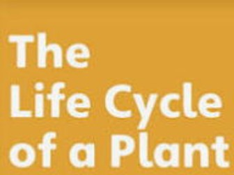 The Life Cycle of Plant Unit-Grade 7 Biology (Key Stage 3/IGCSE)