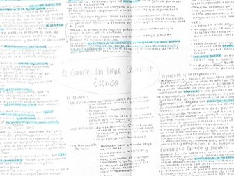 A-Level Spanish Full Notes on El Coronel No Tiene Quien Le Escriba and Ocho Apellidos Vascos