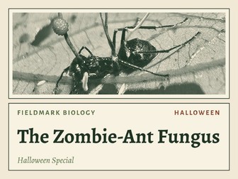 Halloween Biology Lesson: Zombie Ant Fungus Parasite Activity