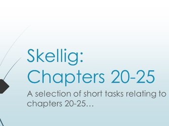 Skellig: Chapters 20-25 Activities