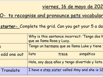 Year 7 Spanish- Lesson 12- to understand pet vocabulary