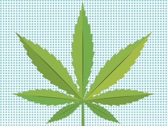 Cannabis quiz and answers